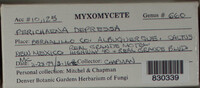 Image Associated With the Occurence
